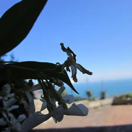 Holiday home Villetta Casa Rosa