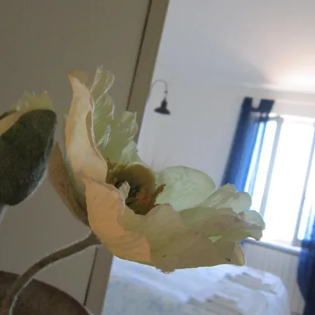Villetta Casa Rosa * Lerici